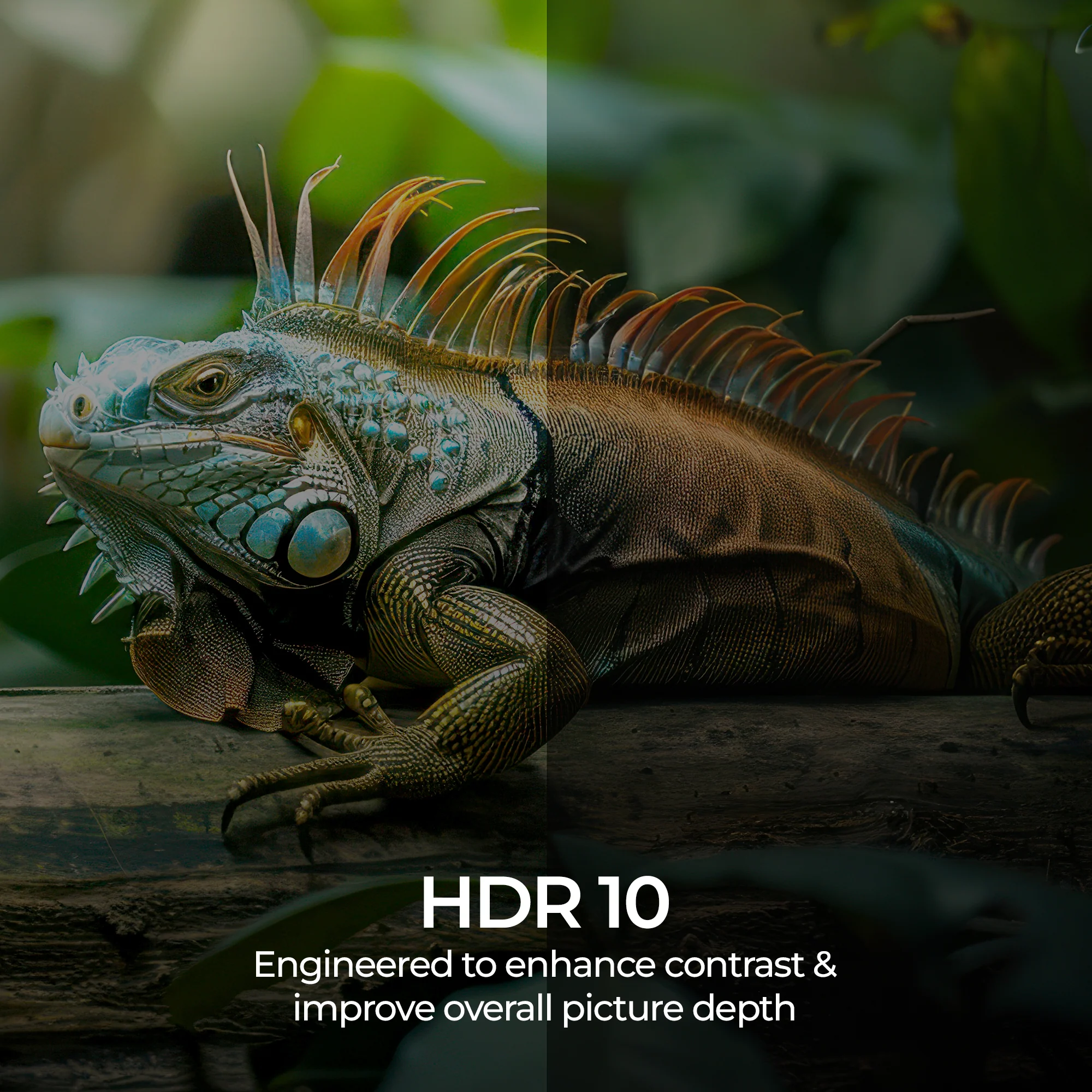Zeb 43G1 Pro - Image 12