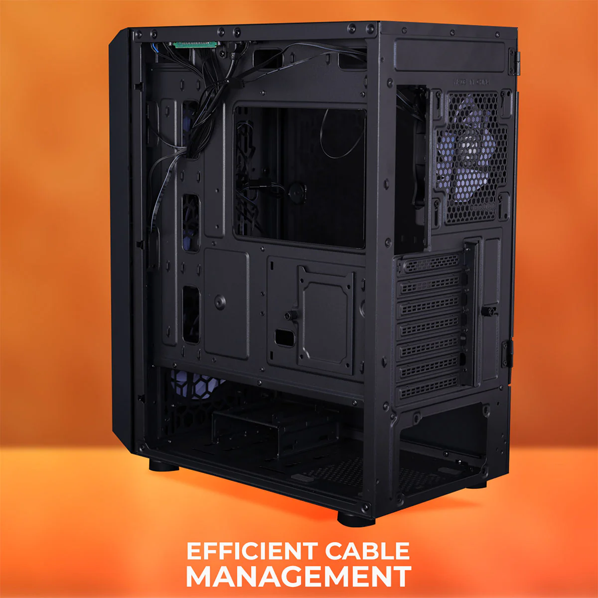 Zeb Hornet - Image 4