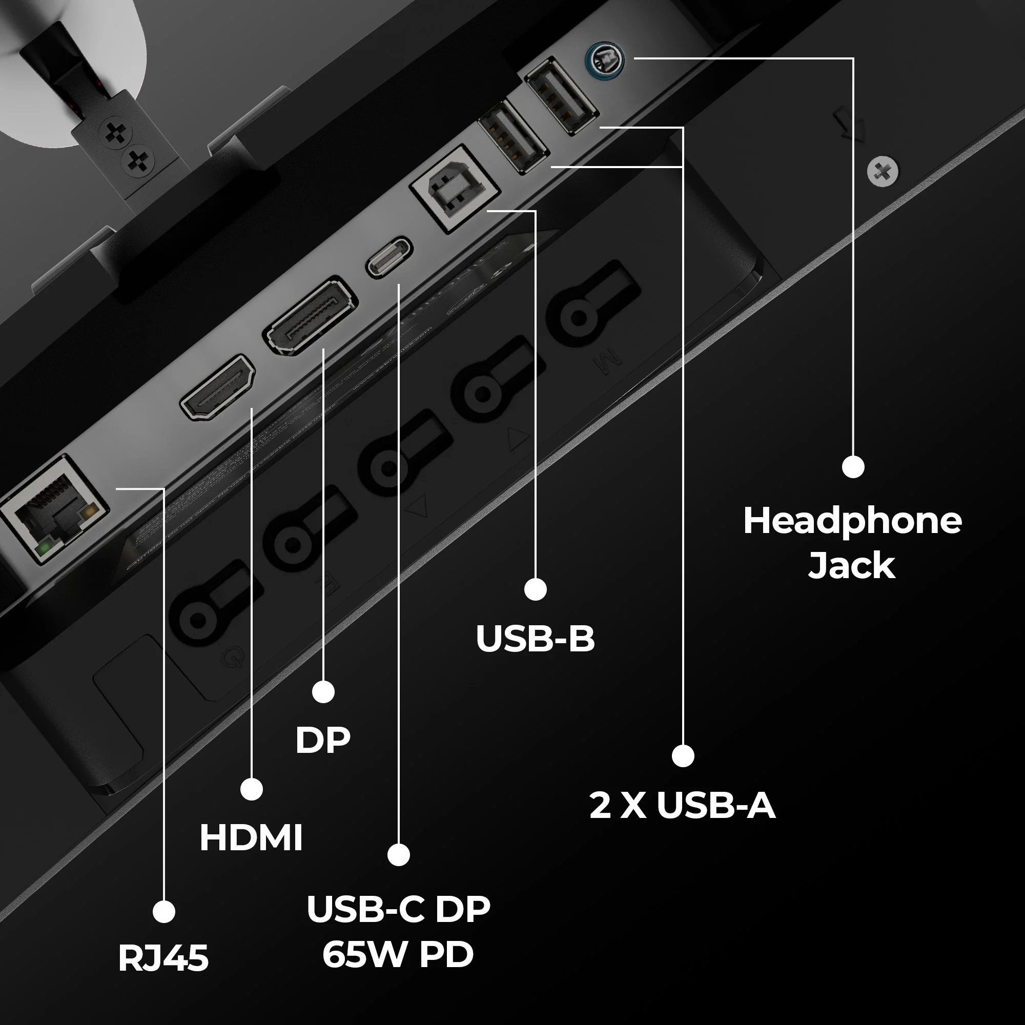 Zeb N49A - Image 10
