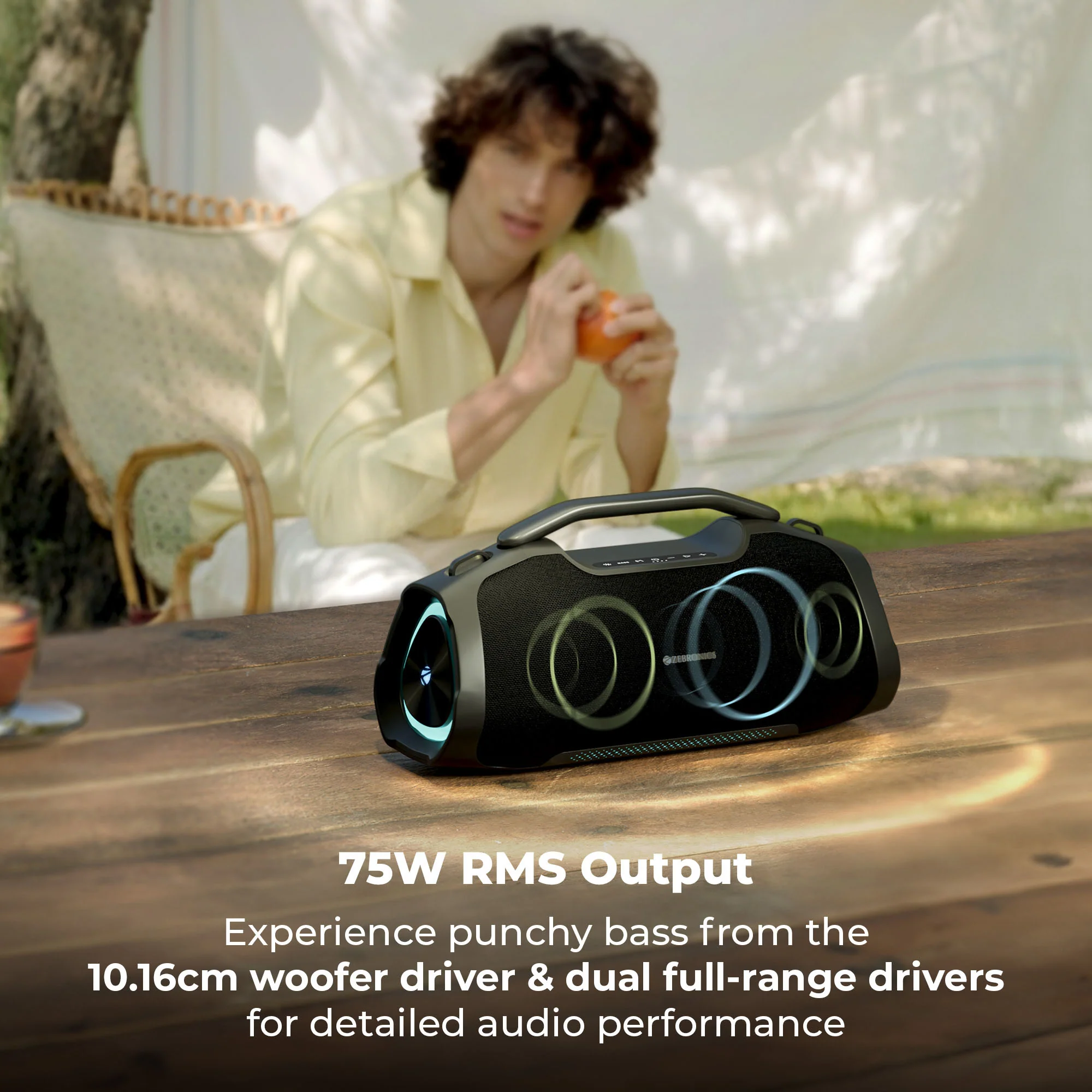 Zeb Sound Feast 550 - Image 2
