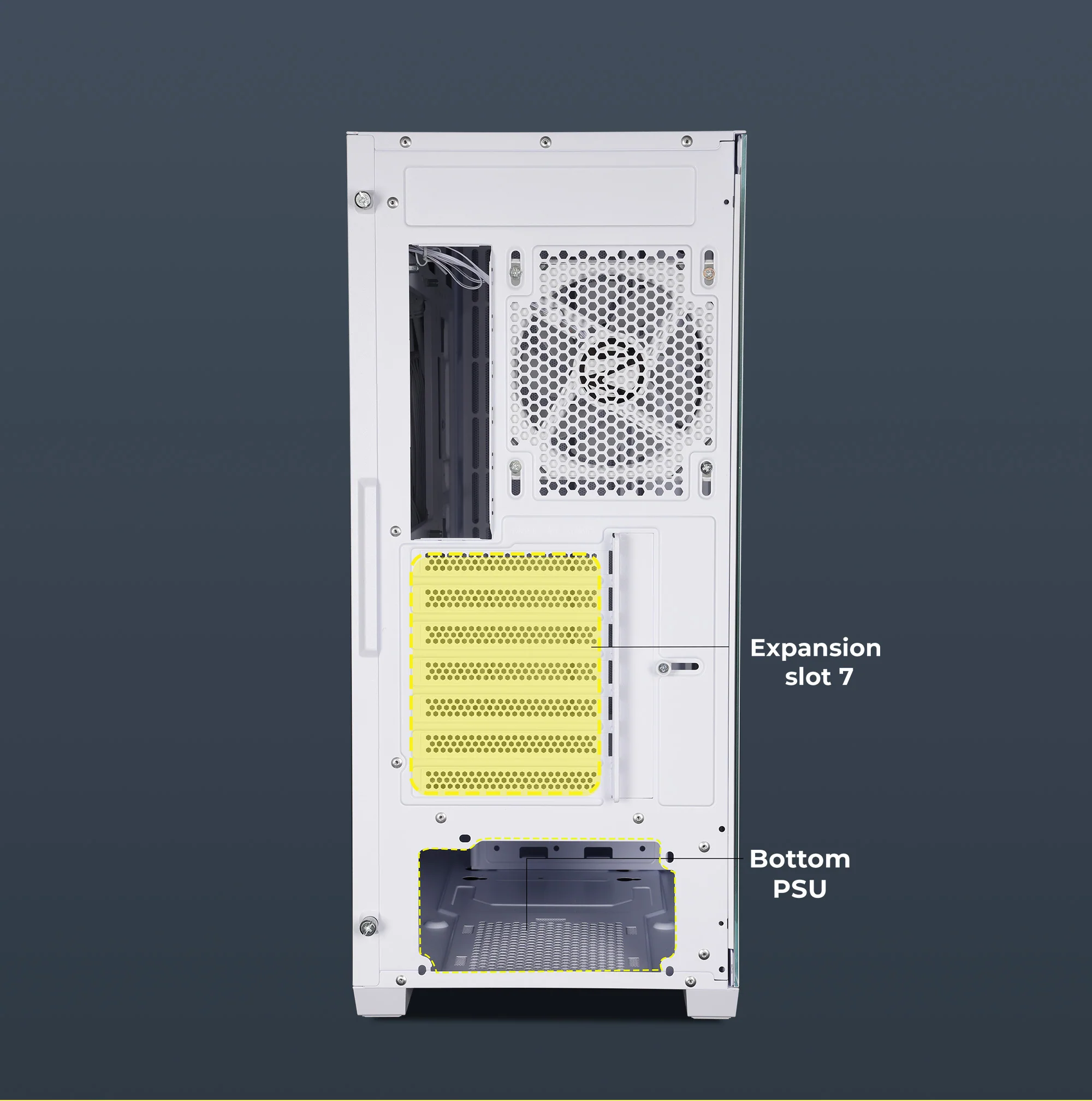 Zeb Vortex - Image 13